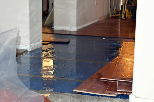 Professional Basement Flood Cleanup technician working in Bernardsville, NJ